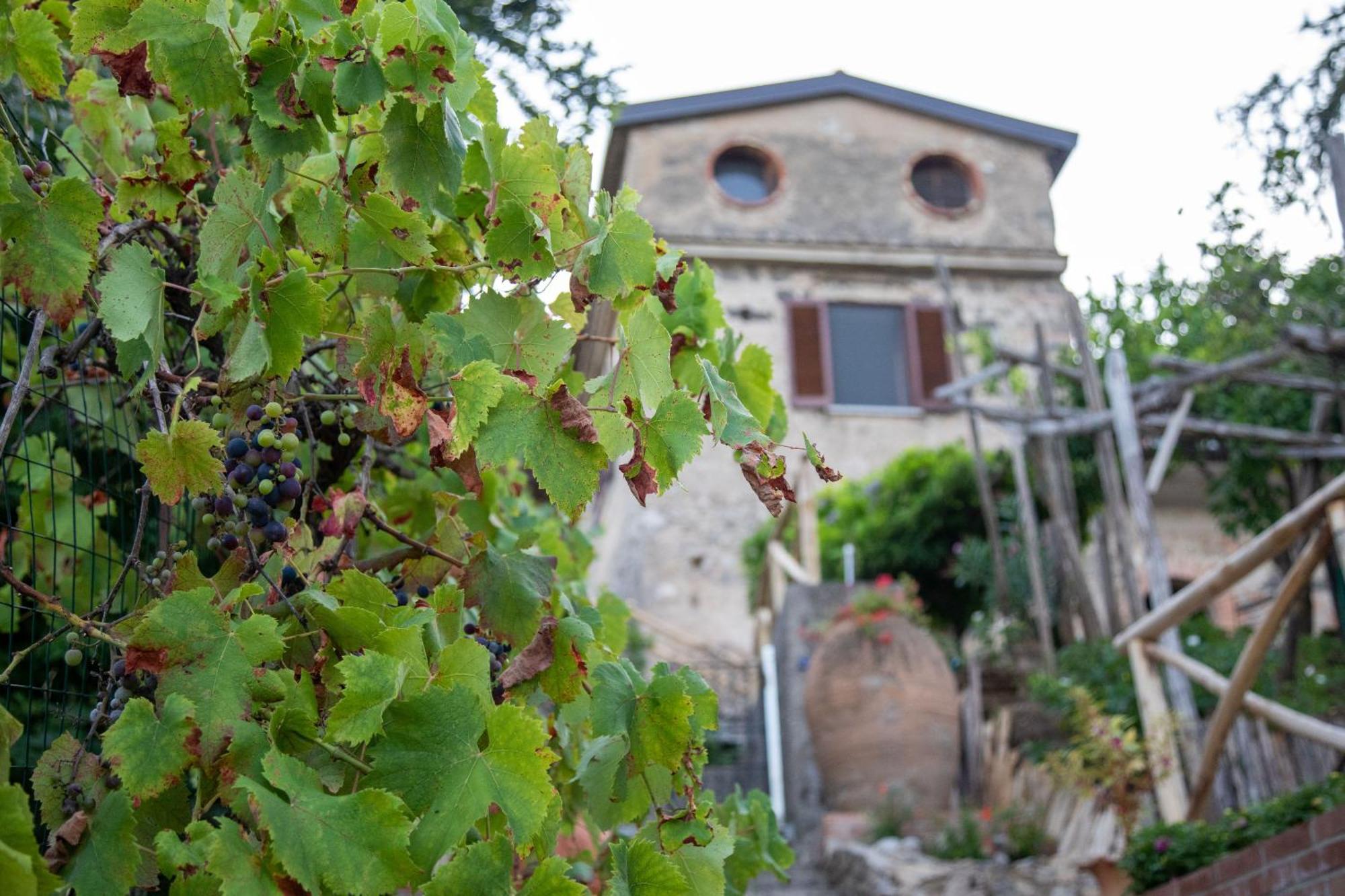 Il Melograno In Costa D'Amalfi - Romantic Experience Vietri Exteriör bild